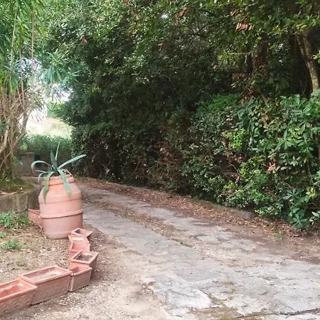 Bilocale A Due Passi Dal Mare Immerso Nel Apartment *