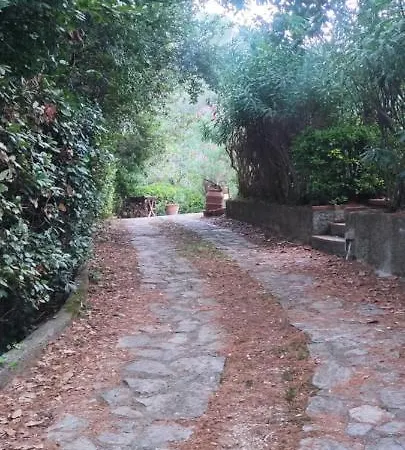 Bilocale A Due Passi Dal Mare Immerso Nel Apartment Castiglioncello
