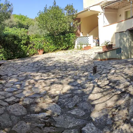 Bilocale A Due Passi Dal Mare Immerso Nel Apartment